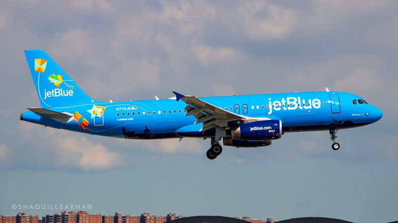 bluericua 1