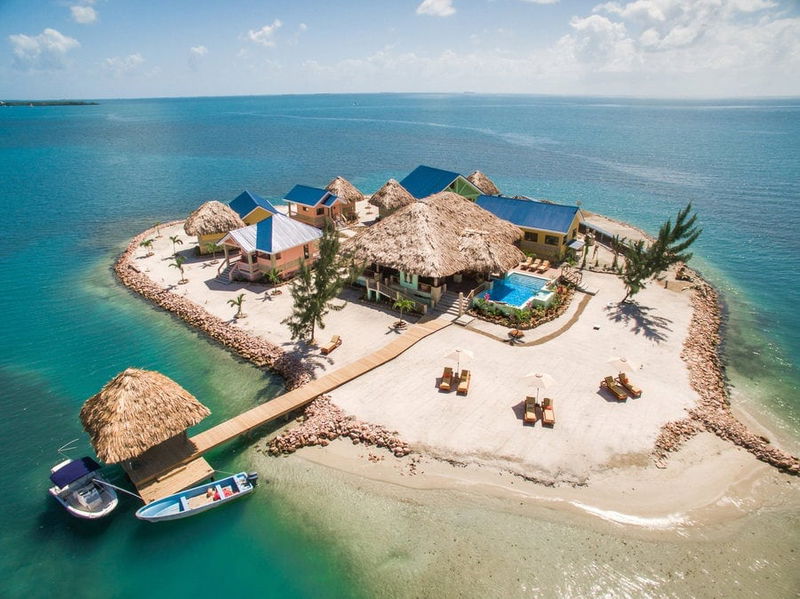 little harvest cay1 1