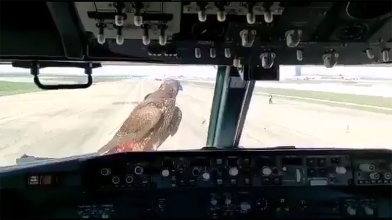 falcon 737