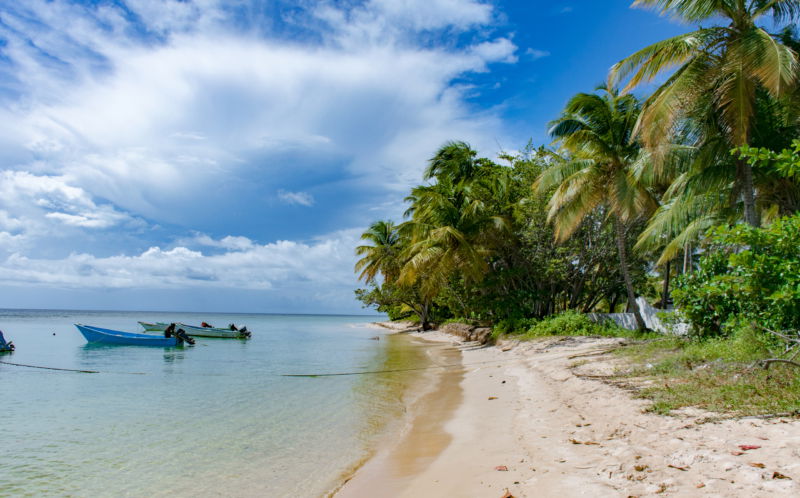 shoreline