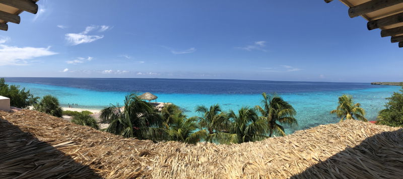 coral estate ocean view villa 19 47