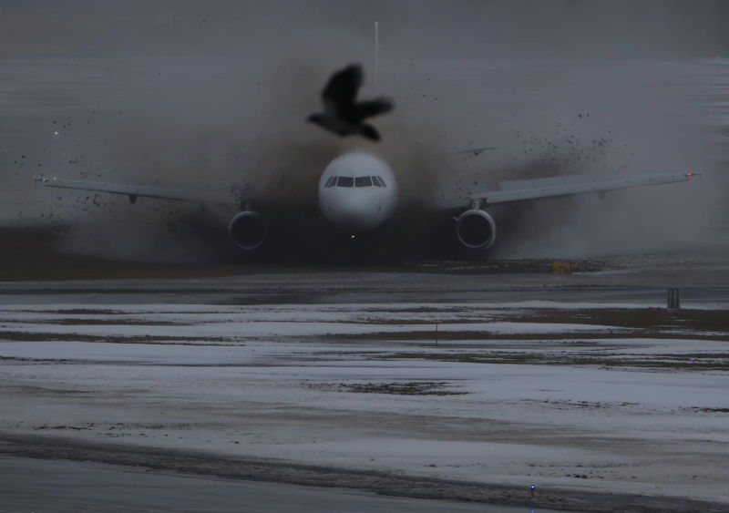 Avion Express Airbus A320 LY NVL 01