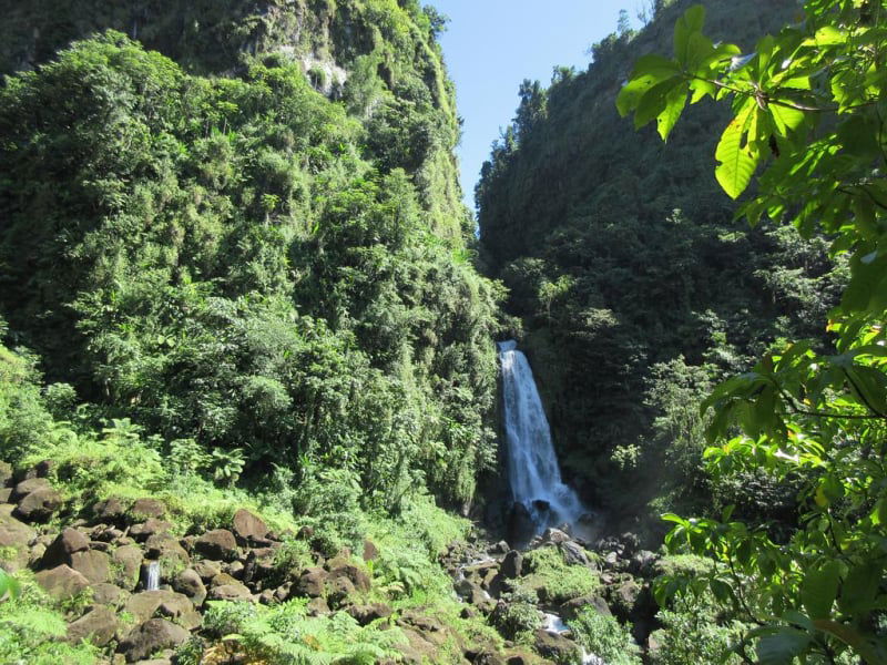 mama falls dominica