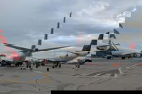 toronto pearson multiple hit.jpeg?quality=85&format=auto&width=200&aspect ratio=1